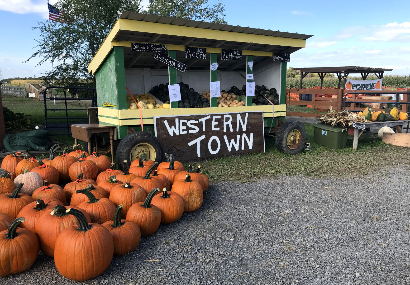 Penny's Country Farm 17